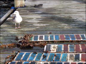 0309-ahhh.seagrapes.myfave