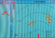 Happily Aground Again