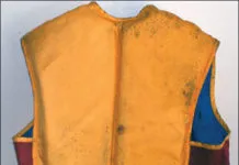 Are Mildew Preventers the Best Defense?