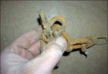 Mooring Chain Check-up at 12 Months