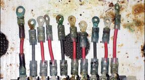 After six months, protection from the anti-corrosion sprays had worn off, but some greases still worked.