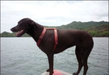 Mailport: August 2013