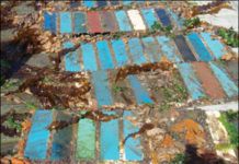 Last Call for Top-Rated Bottom Paints After Two Years