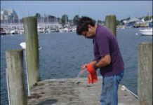 Affordable Marine Antifouling Paint