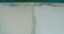 Bottom Paint Strippers