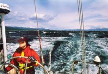 The Merits of Madness