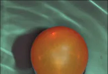 Water-Proofing Gear from Underwater Kinetics