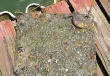 Tefcite Coating Fails Static Panel Test at 1 Year