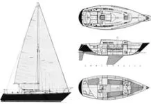 C&C 29