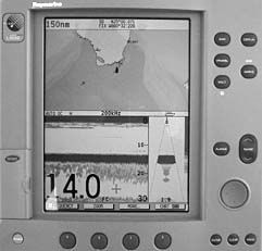 Networked Systems: Furuno vs. Raymarine