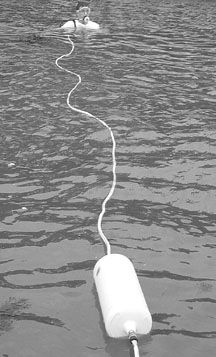 Surface Dive Deck Snorkel