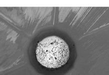 Deck-Fill Fuel Filters