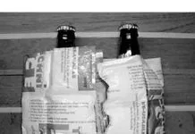 Techni-Ice: So Long, Blue Bricks