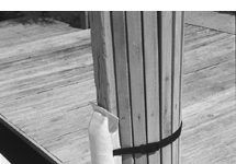 Whistles: Fox Is Best