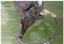 Rodes Tested from Shore and Catamaran