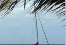 Bottom Paint Stripping