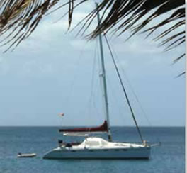 50-foot Privilege cat