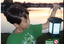 Bugs Be Gone