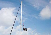 Dissecting the CSY 37