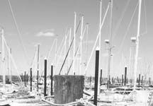 The Happy Hooker and Other Ingenious (de)Vices