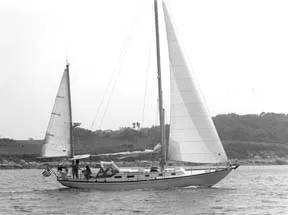dismasted sailboat
