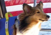 Mailport: October 2013