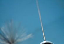 Where Credit is Due: February 2011