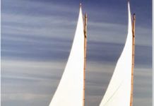 The Magic of Munroes Sharpies