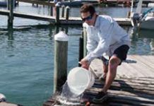 First Look at New Eco Paints and Hard Ablatives