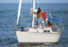 allmand 31 sailboat review