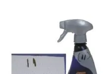 The Best of Bottom Paints