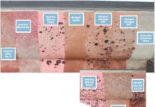 Antifouling Paints Abroad