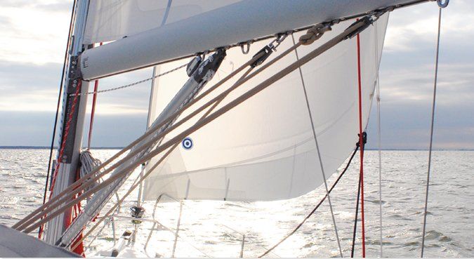 p19ve368n7kmsnko185k14v715706