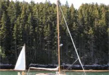 Cleaning the Holding Tank