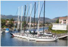 The Modern Classic Racer-Cruiser