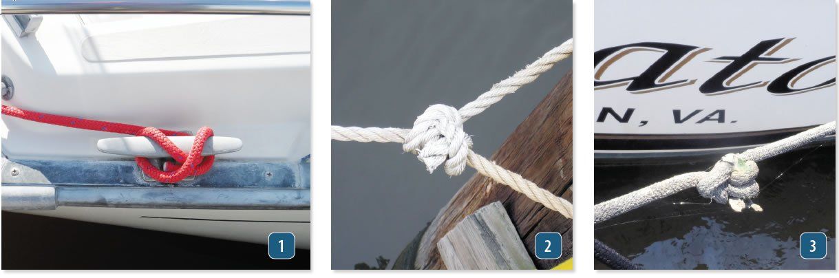 gallery of rogue docklines