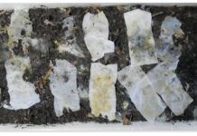 Best Marine Toilet Papers