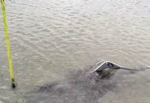 Short Scope Anchor Test