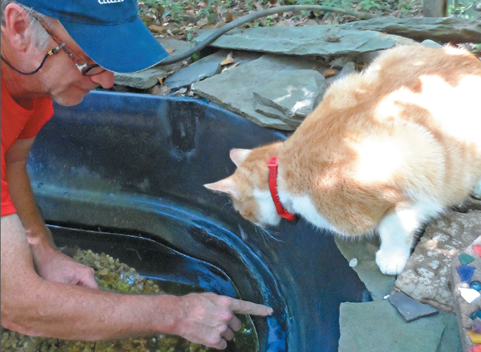 p1csrcub77134s1vdt1o6ovo81hrs6