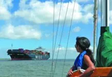 Special Report: How to Prevent AIS and VHF Antenna Malfunction