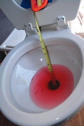 seaera_e-heads2010__MG_0115