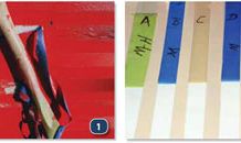 3M Masking Tape Matchup