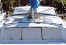 Mildew Treatments and Stain Removers