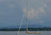 Attack of the Zebra Mussel