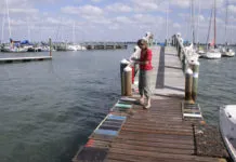 Hard Antifouling Paints and Haulouts