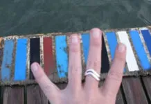 Antifouling paint prices hold steady