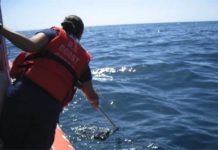Report Sheds Light on Deaths Aboard Aegean