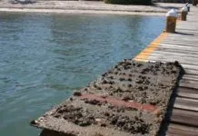 Eco-friendly Bottom Paints 2012