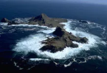 Tragedy Strikes Farallones Race