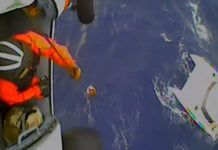 The Short, Brutish Life of a Luxury Cat